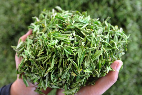 中国茶叶十大排名顺序