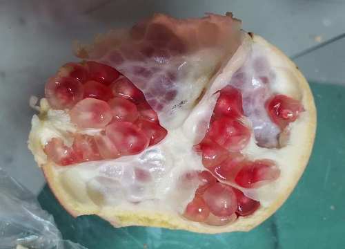 石榴籽有毒吗能吃吗
