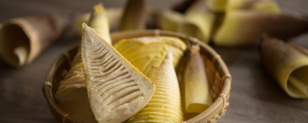 冬笋吃哪个部位