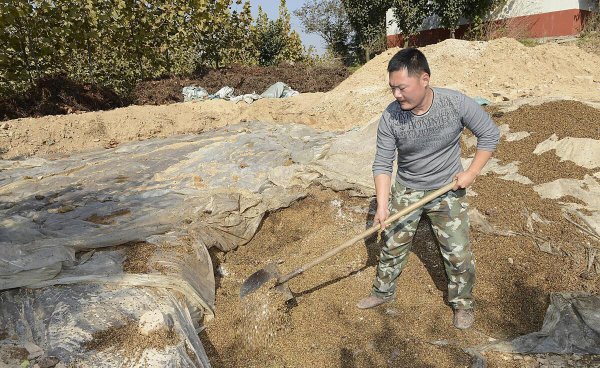 自制肥料的做法和配方