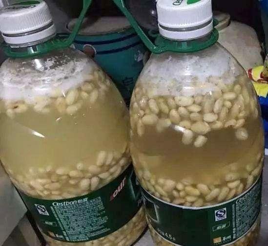 米糠可以拿来种花吗