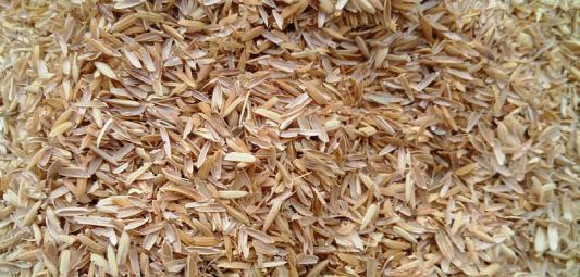 米糠可以拿来种花吗