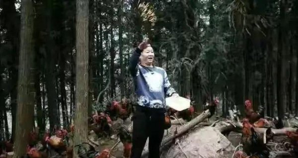 康熙微服私访记三德子扮演者