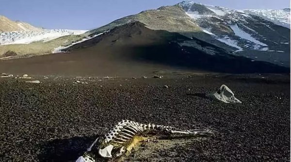 可可西里在哪里