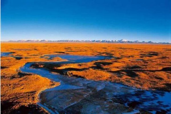 可可西里在哪里