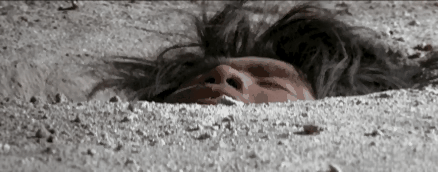 可可西里在哪里