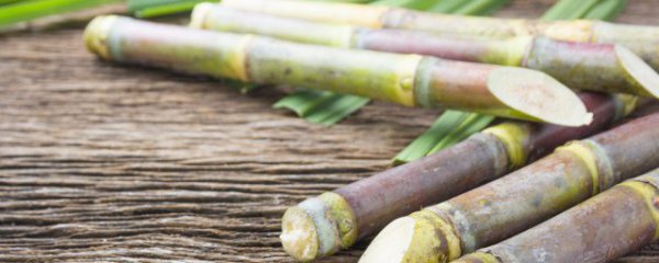 广东大年初一传统民俗活动