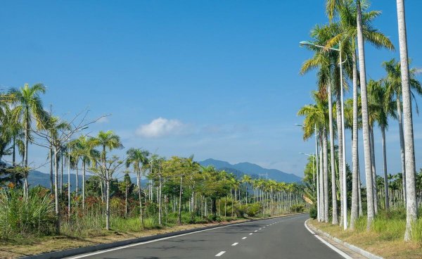 海南为什么一年四季都热