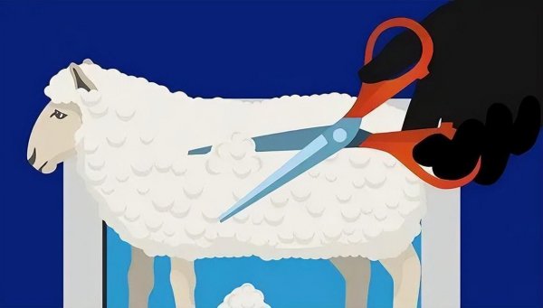 薅羊毛是啥意思啊