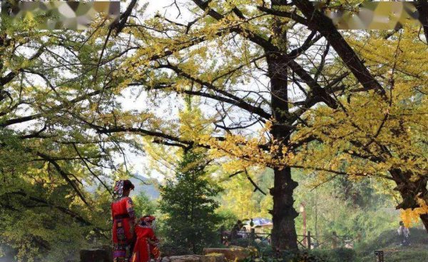 六盘水是哪个省的地方