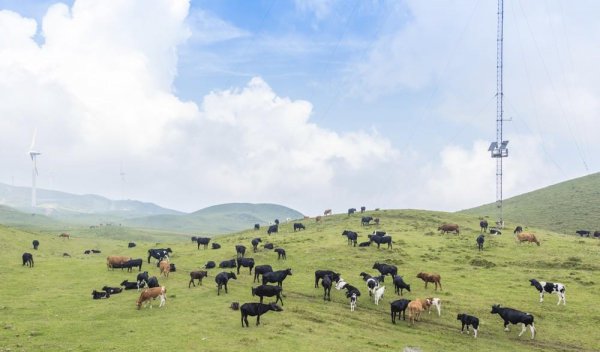 六盘水是哪个省的地方