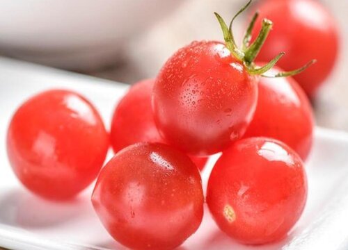 西红柿品种十大排名详情介绍