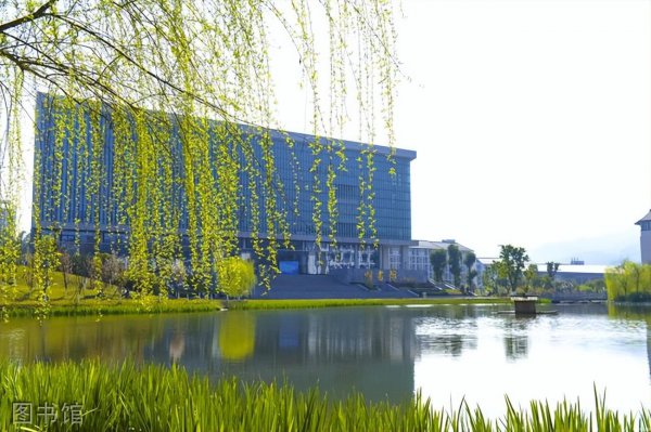 重庆高职排名前十名学校