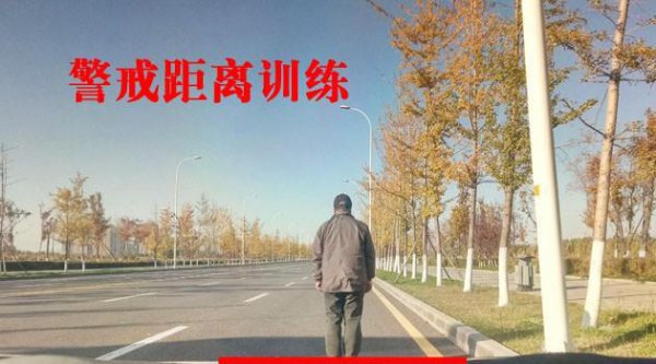 练车感的最好方法