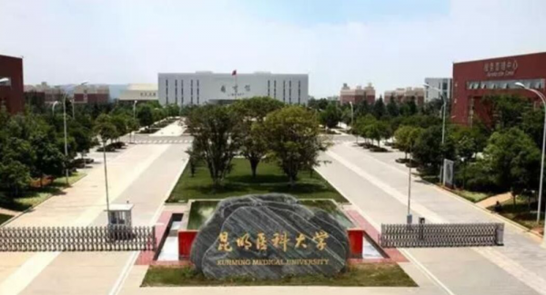 上海中医药大学是几本学校