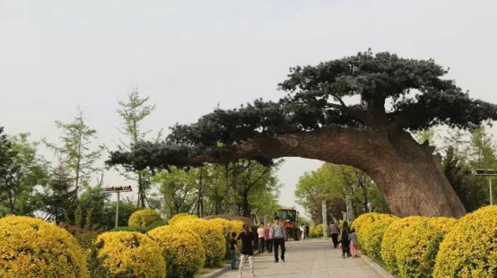 鲅鱼圈在哪个城市