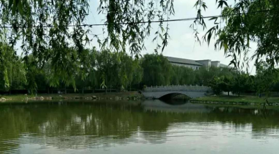 鲅鱼圈在哪个城市