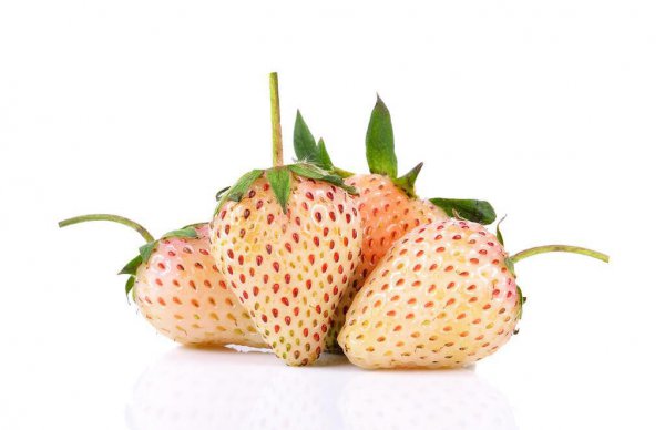 哪种草莓最甜最好吃还容易种植