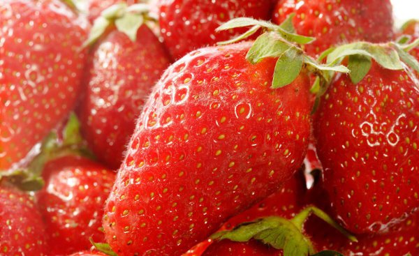 哪种草莓最甜最好吃还容易种植