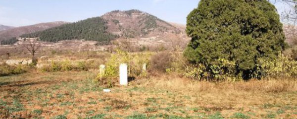 坟地放什么可以家旺