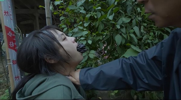 断桥电影什么时候上映