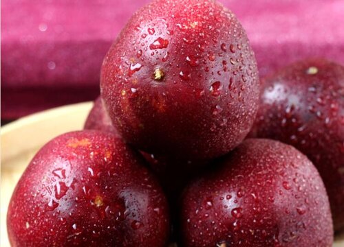 目前最好的百香果品种