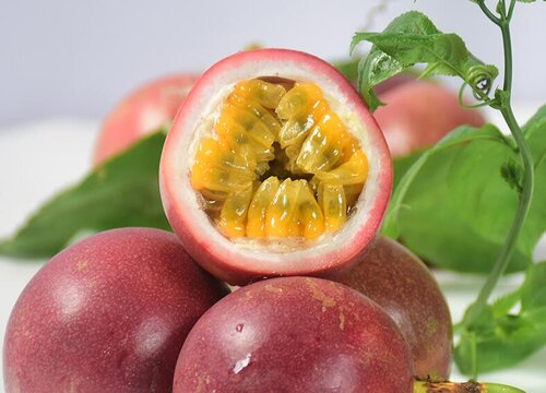 目前最好的百香果品种