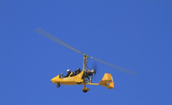 直升机驾照有哪些种类图片