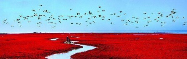 盘锦属于哪个省