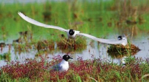 盘锦属于哪个省