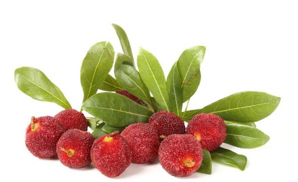 杨梅酒泡多久是最佳饮用时间