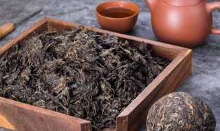 三炮台茶什么季节喝好 什么季节喝好三炮台茶好