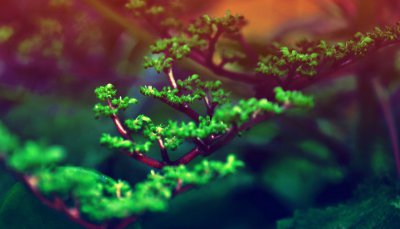 水瓶座命中注定的夫妻 水瓶座的最佳伴侣有哪些星座