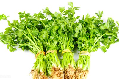 芹菜需要焯水吗 炒芹菜之前要用水焯一下好吃吗