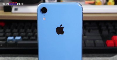 苹果xr和苹果11哪个值得买 究竟买哪款更合适