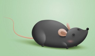 梦见抓老鼠是什么意思 做梦抓老鼠什么意思