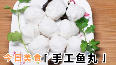 一斤鱼肉放多少淀粉做鱼丸 500克鱼肉搭配多少淀粉