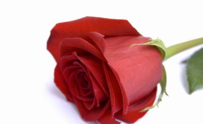 送女朋友礼物送什么比较有意义 给女友送七夕礼物的清单