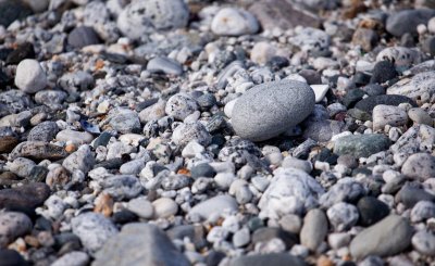 混凝土有几种型号 混凝土的组成材料型号规格及用途