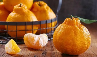 粑粑柑如何挑选技巧 粑粑柑挑选技巧介绍