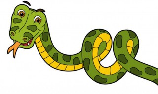 属蛇的几月出生好命运如何 属蛇的什么月份出世好