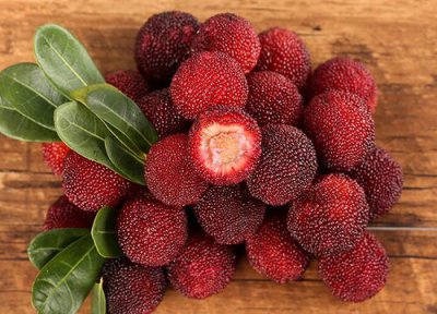 浙江杨梅产地 浙江杨梅什么时候成熟