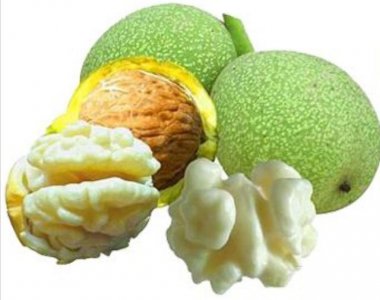 核桃的采摘时间和去皮方法 核桃什么时候成熟采摘处理