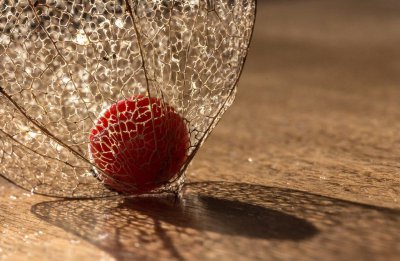 男人问你忙什么呢幽默回复 一个男人问你忙啥如何机智回答