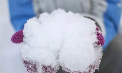 雪水浇花好不好 下雪化的水浇花有什么好处