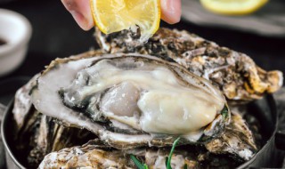 生蚝需要煮多久 生蚝需要煮多长时间呢