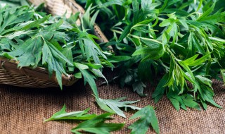 春天的艾叶可以吃吗 春天的艾叶能不能食用