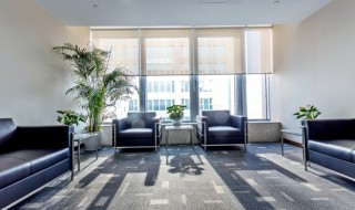 冬天什么花放室内好养 冬天可以在室内养哪些花