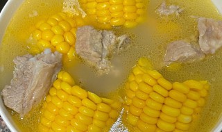 排骨炖玉米一般炖多久 排骨炖玉米一般炖多长时间才熟呢