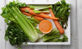 种植蔬菜的方法与注意事项 蔬菜种植的方法及注意事项